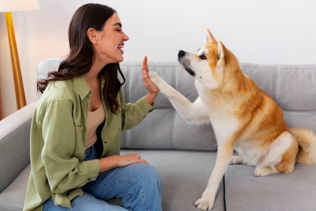 Property manager reviewing documents for an assistance animal, with a dog calmly sitting beside them, symbolizing the specialized verification process.