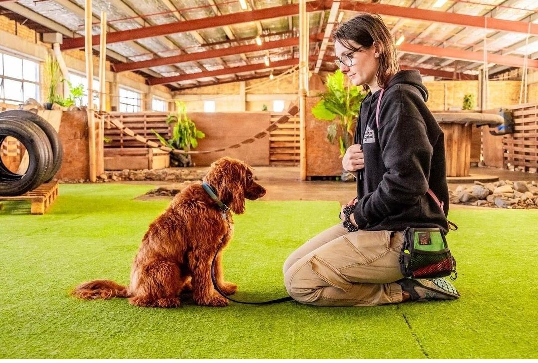 A property manager reviewing pet documentation with a happy dog owner and their well-behaved pet in a modern apartment lobby, emphasizing organized paperwork.